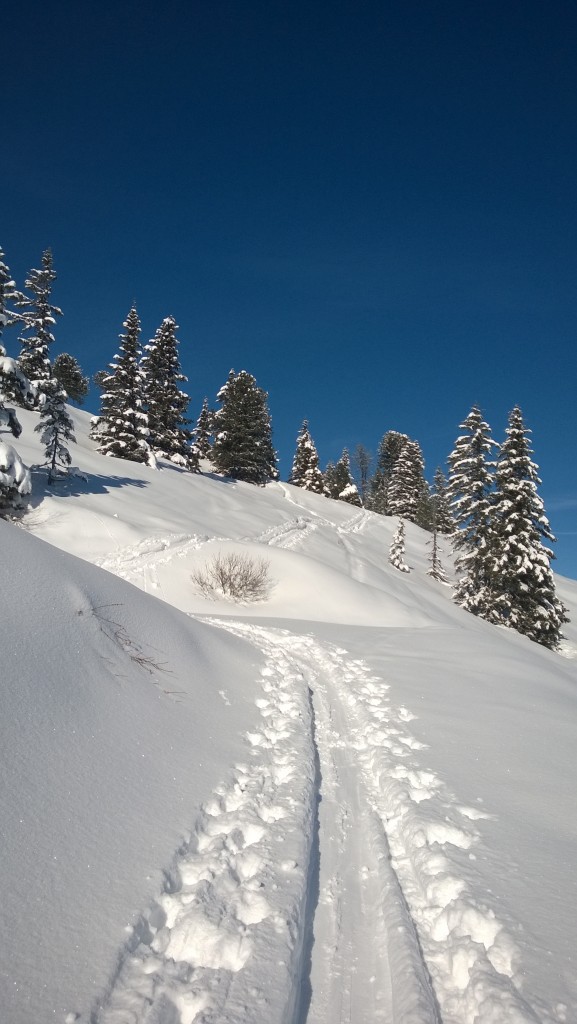 WP_20140129_11_22_22_Pro