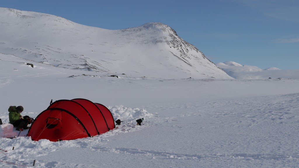 T & S järkkäri 249