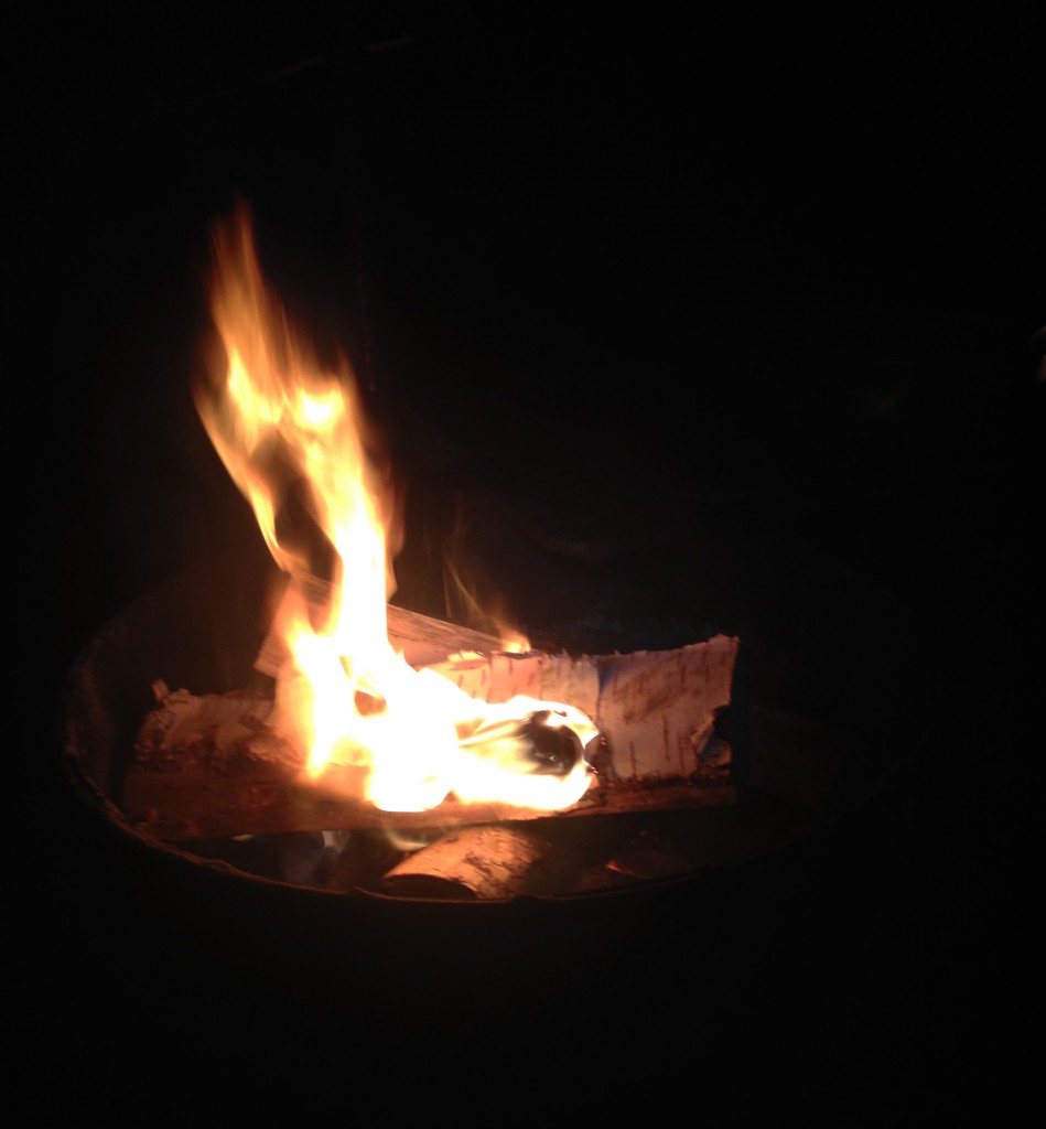 Lakjärvi kevät 2016 004