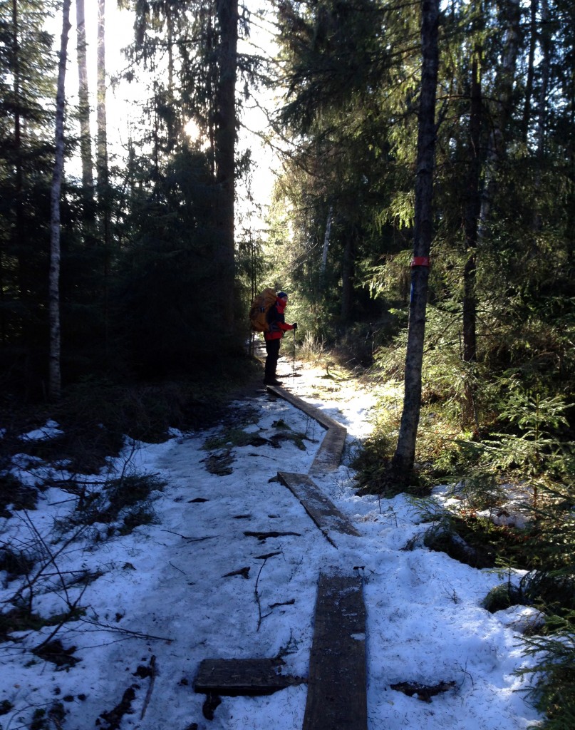 Lakjärvi kevät 2016 023