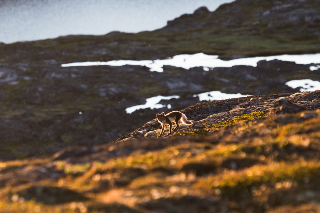 _MG_9730_TeppoTirkkonen