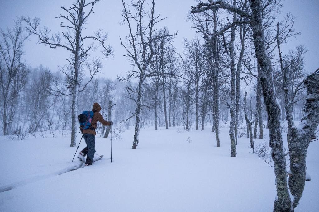 15966682_10210433934097594_1781522204_o