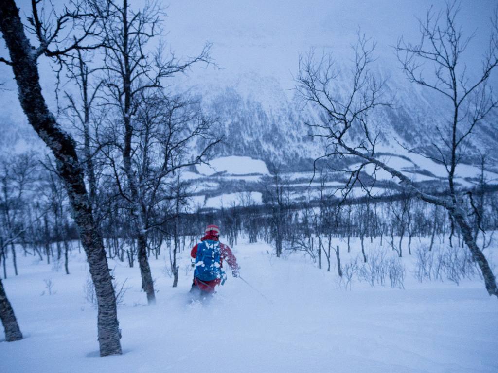 15966962_10210433934417602_2075182901_o