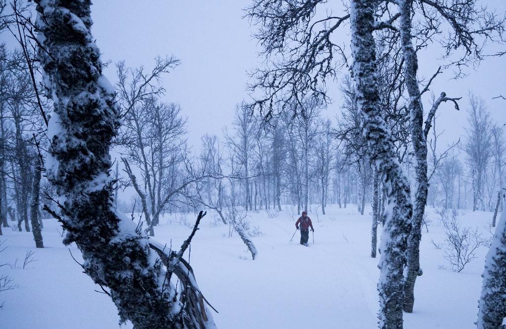 15967479_10210433933817587_1564564368_o