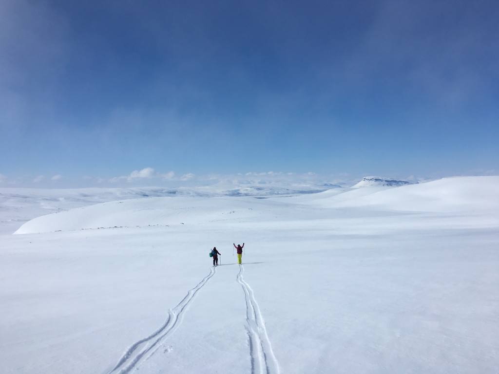 photo-14-5-2017-12-45-34